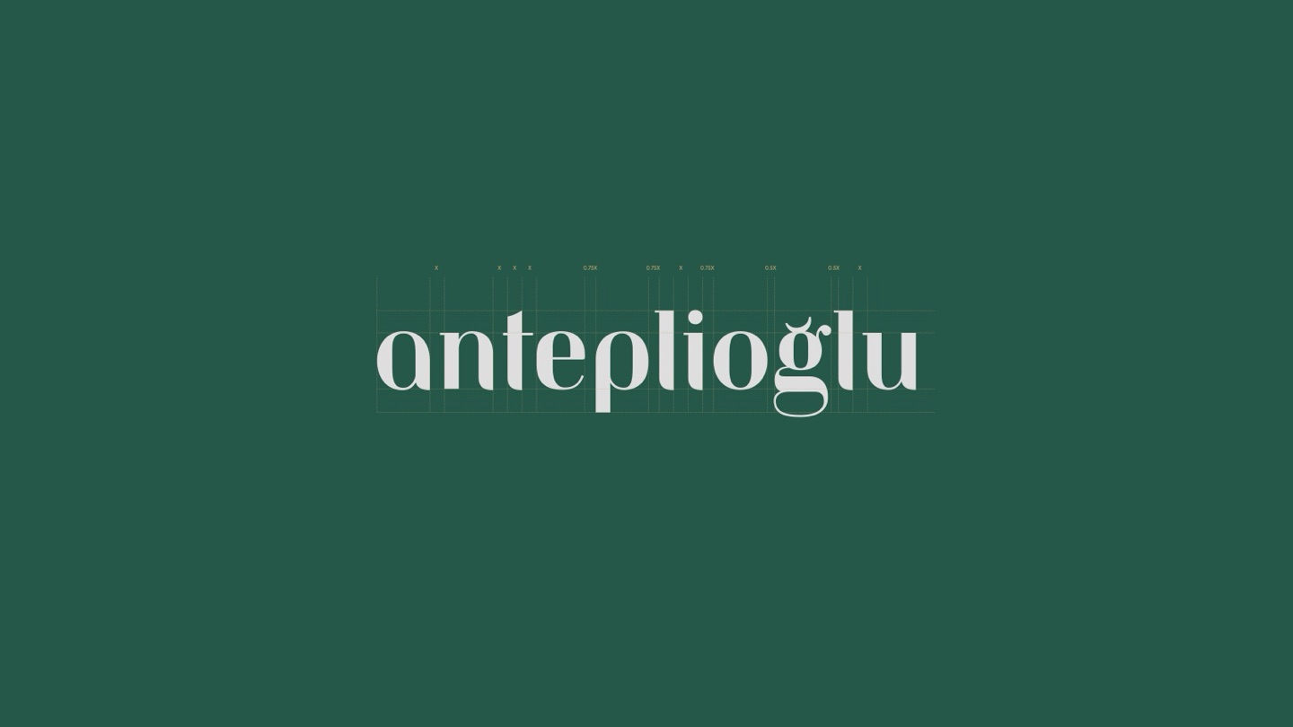 Projekt Anteplioglu
